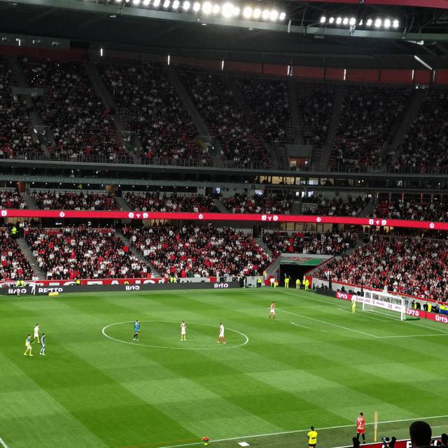 post_img_1781622838_9554